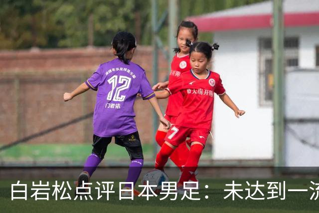 白岩松点评日本男足：未达到一流强队标准，仍需克服对荷兰的恐惧